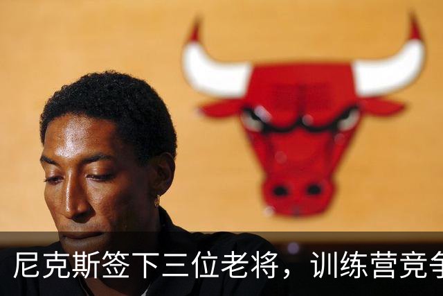 尼克斯签下三位老将，训练营竞争开启！